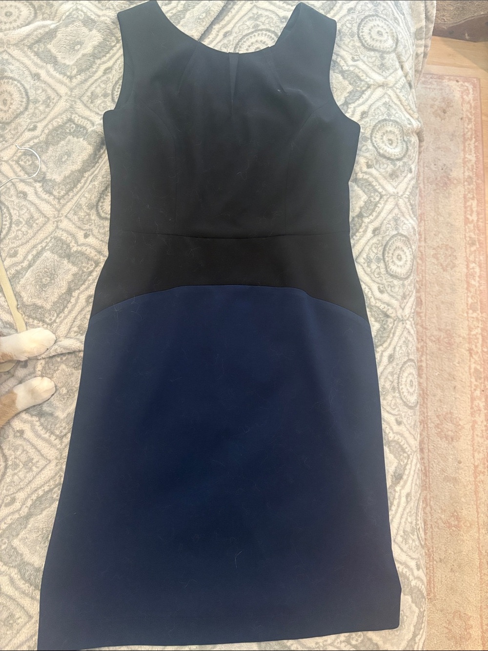 BCBGMaxAzria Black and Navy Colorblock Midi Sheath Dress